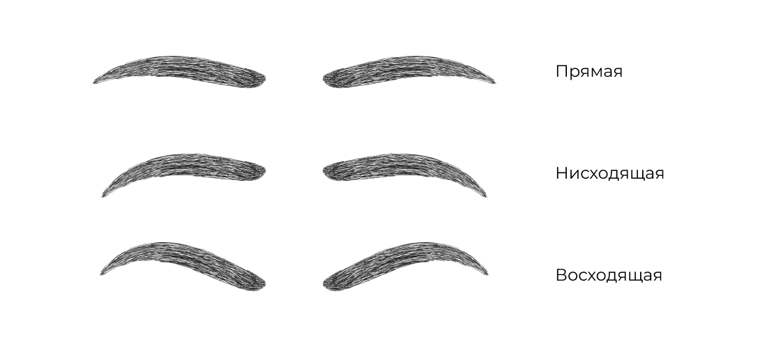Типы формы бровей: прямая, восходящая и нисходящая